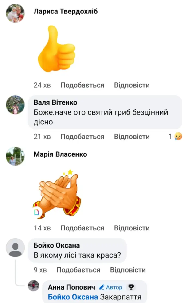 На Закарпатті стартував грибний сезон: білі й зморшки йдуть «на вагу золота»