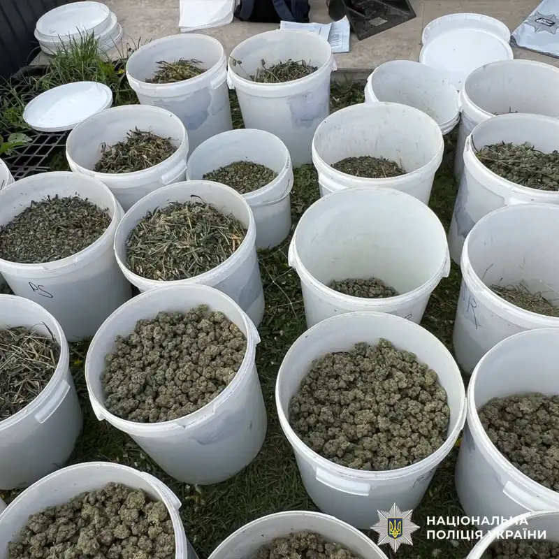 На Львівщині ліквідували високотехнологічну нарколабораторію з канабісу на 8 мільйонів гривень