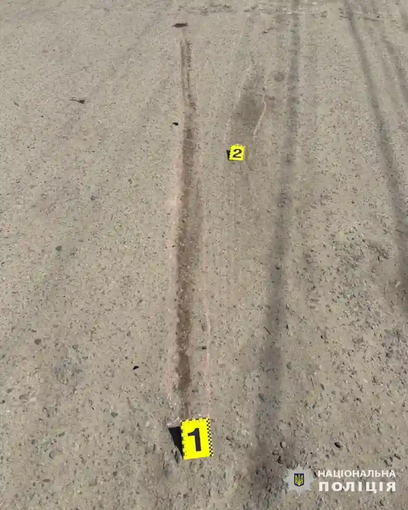 На Львівщині дворічна дитина потрапила під колеса авто: поліція відкрила провадження