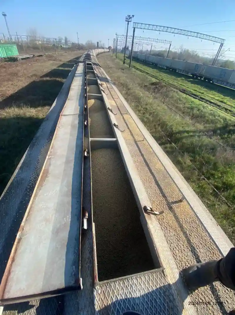 На кордоні з ЄС викрили спробу незаконного експорту сої на понад 15 мільйонів
